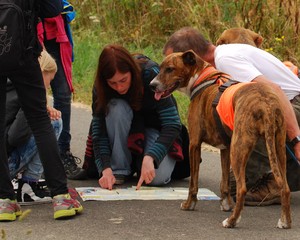 Ein gut trainierter Hund f&auml;llt in der &Ouml;ffentlichkeit positiv auf.