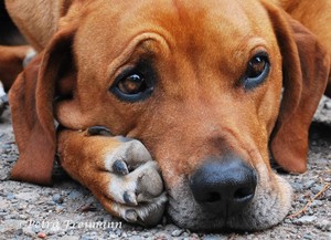 Ich brauche Abstand. Bitte gew&auml;hrt ihn mir.