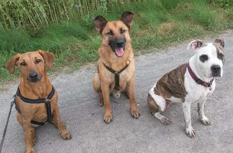 Das war ein sch&ouml;ner Spaziergang.