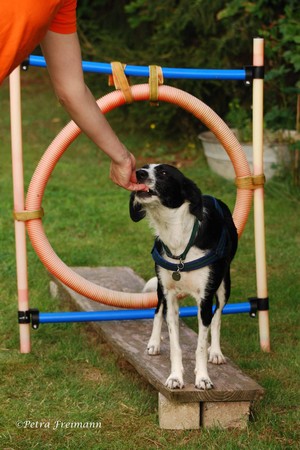 Gemeinsame Aktivit&auml;ten machen Spa&szlig; und f&ouml;rdern die Beziehung.