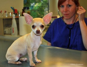 Medical Training ist sinnvoll und kann sogar Freude bereiten.