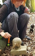 Training mit anderen Tierarten, Animal Training Center