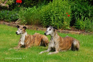 Auch wir k&ouml;nnen noch eine Menge lernen. Und das macht Spa&szlig; und motiviert. (Lise und Lotte, beide 14 Jahre alt)