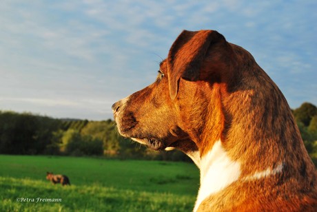Da l&auml;uft doch was.